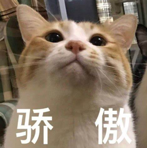 吐血整理！80个打工人必备 的 AI 工具合集，摸鱼也能升职加薪！
