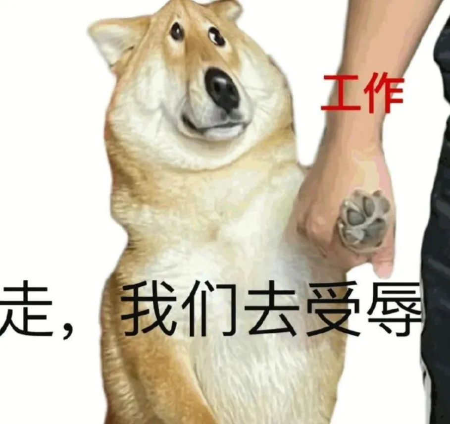 吐血整理！80个打工人必备 的 AI 工具合集，摸鱼也能升职加薪！